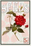 Flower Seed Packet Poster