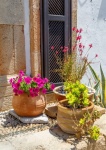 Flowerpots Outside In Greece