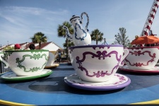 Giant Teacups