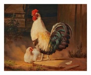 Chickens Rooster Hen Illustration