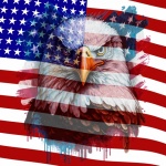 American Flag And Eagle
