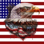 American Flag And Eagle