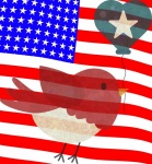 Patriotic Bird American Flag