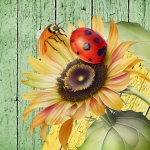 Sunflower Ladybug