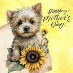 Sunflower Dog Mothers Day