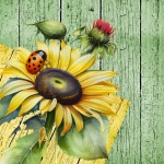 Ladybug Sunflower