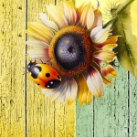 Ladybug Sunflower