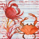 Nautical Ocean Crab Illustration