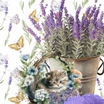 Lavender Kitten In Basket