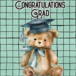 Teddy Bear Graduate Congratulations