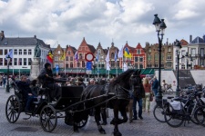 Horse Rides In Belgium