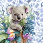 Koala Bear Illustration