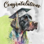 Congratulations Graduation Dog