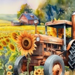 Tractor In Sunflower Field Farm