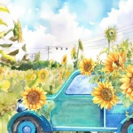 Truck In Sunflower Field