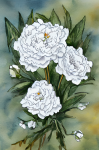 Carnation Bouquet Watercolor