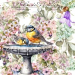 Lavender Bird Bath Poster