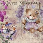 Teddy Bear Lavender Postcard
