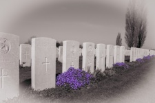 Graveyard, Military Cemetery