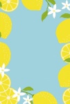 Lemon Fruit Frame Poster