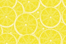 Lemon Fruit Slices Background