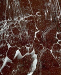 Marbled Abstract Pattern Background
