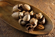 Pecan Nuts Broken Open With Shells