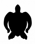 Sea Turtle Silhouette
