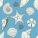 Seashells Starfish Background