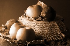 Sepia Image With Apples