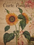 Sunflower Vintage Floral Postcard