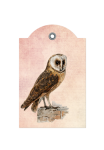 Vintage Barn Owl Label
