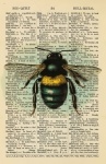 Vintage Bee Dictionary Page