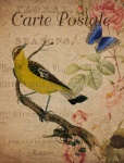 Vintage Bird Floral Postcard