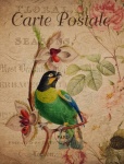 Vintage Bird Floral Postcard