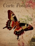 Vintage Butterfly Floral Postcard