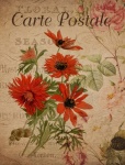 Vintage Floral French Postcard