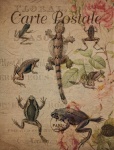 Vintage Frog Floral Postcard