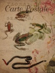 Vintage Frog Floral Postcard