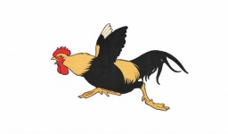 Vintage Illustration Chickens Rooster