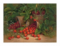 Vintage Art Garden Strawberries
