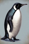 Vintage Penguin Art Print