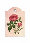 Vintage Red Rose Label