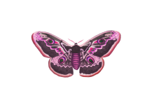 Vintage Butterfly Moth Clipart
