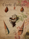 Vintage Shells Floral Postcard