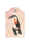 Vintage Toucan Bird Label