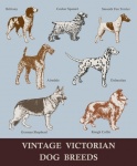 Vintage Victorian Dog Breeds