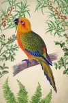 Vintage Bird Parrot Flowers