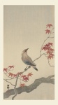 Waxwing Japanese Vintage Art