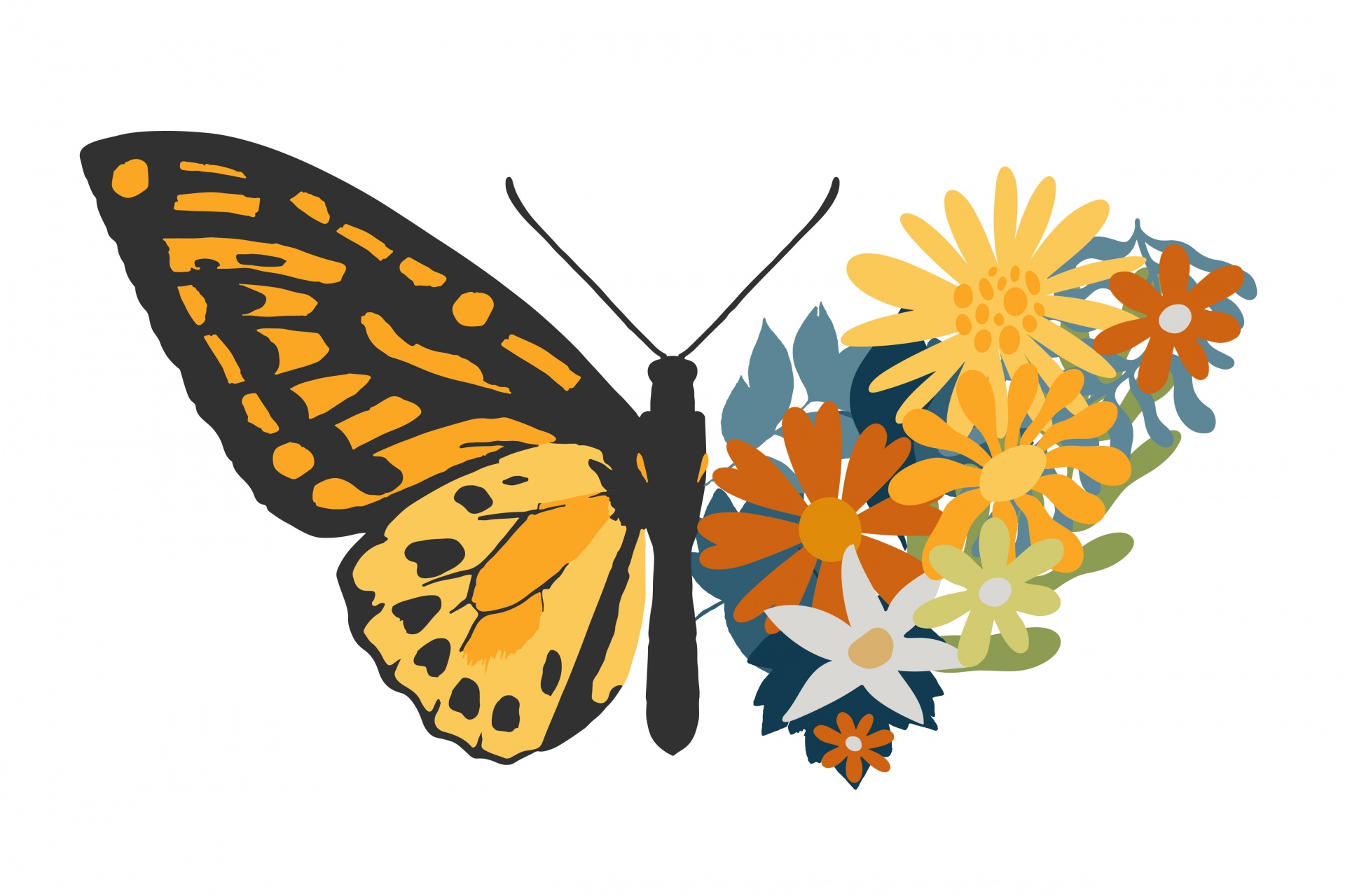 Floral Butterfly Clipart